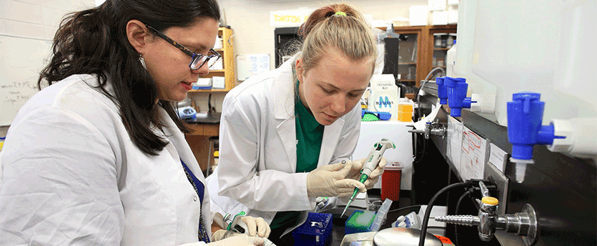 Two students working together in the biology lab.