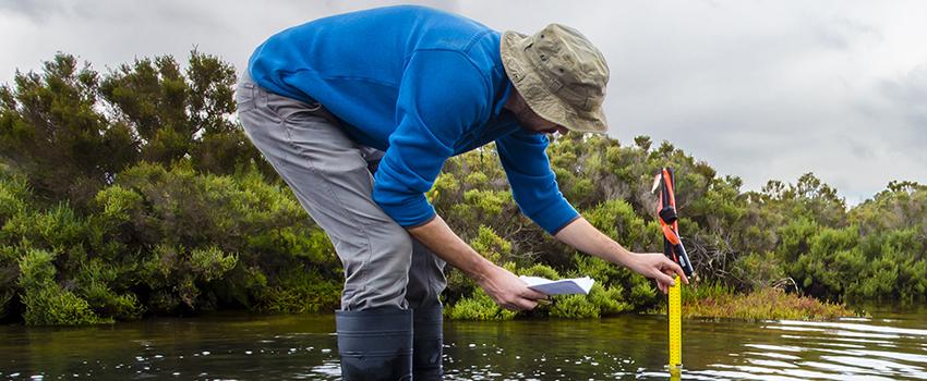 Person doing research in the water measuring.